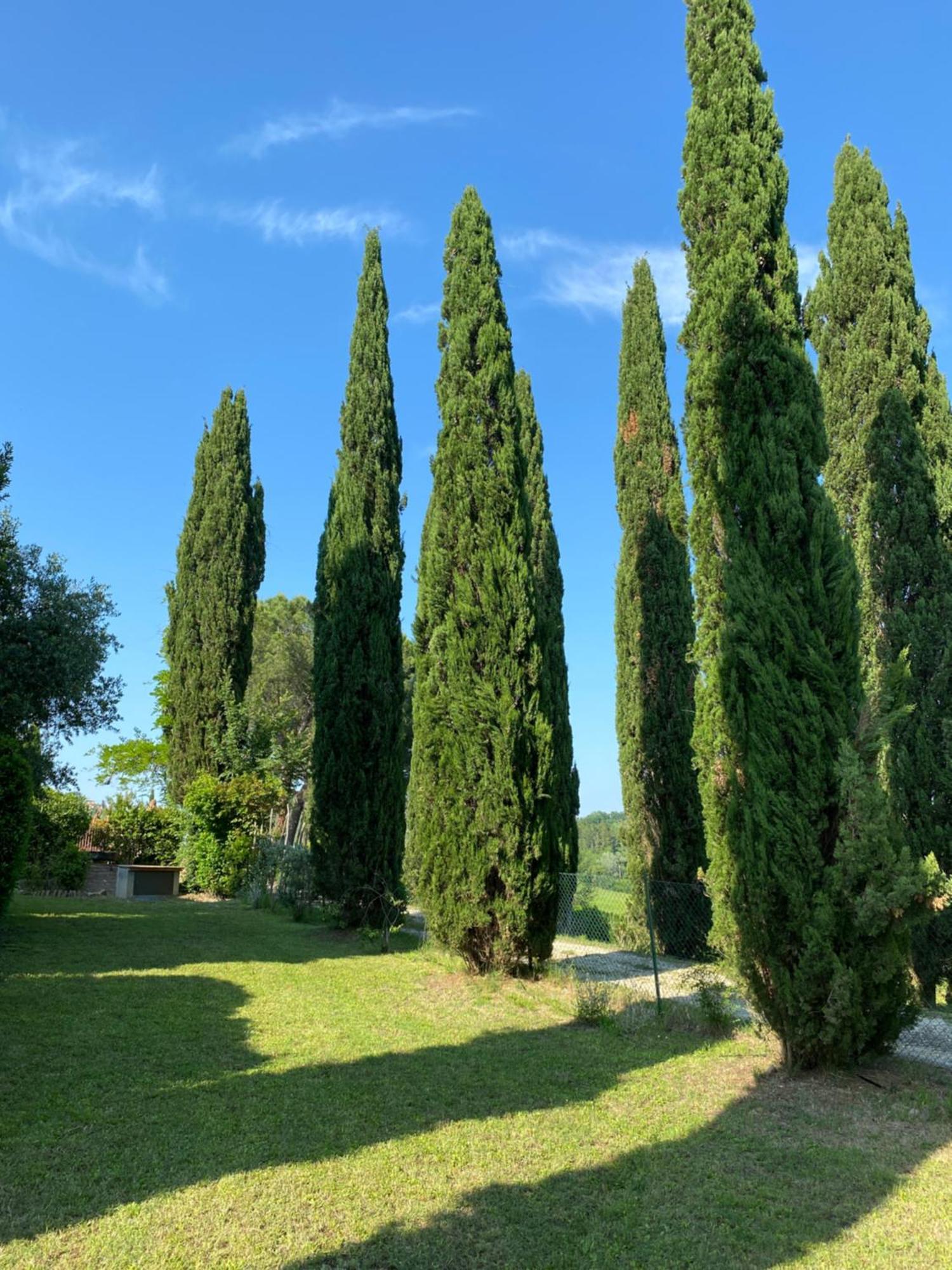 Villa Tre Colli - In The Heart Of Tuscany Certaldo Exteriér fotografie