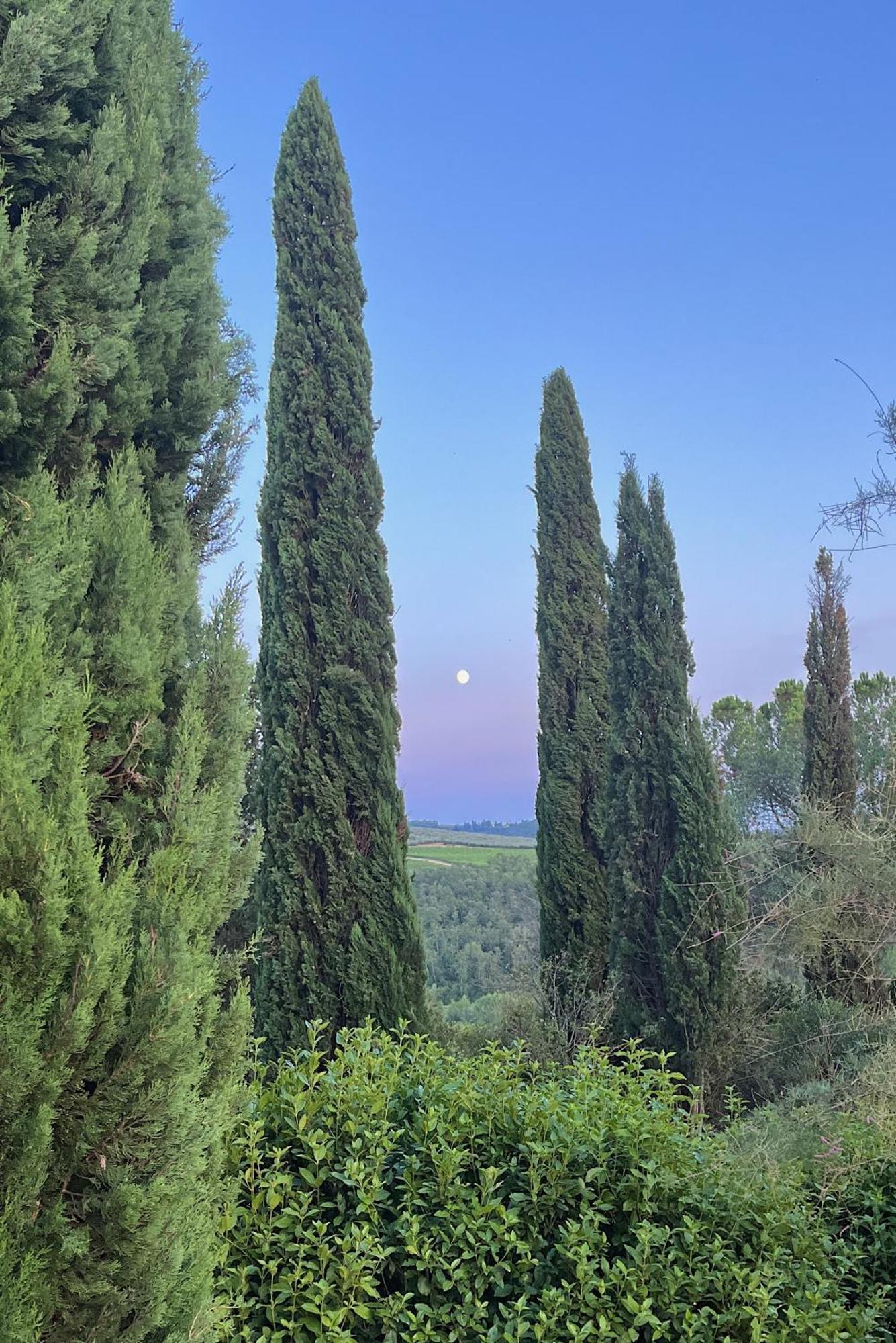 Villa Tre Colli - In The Heart Of Tuscany Certaldo Exteriér fotografie